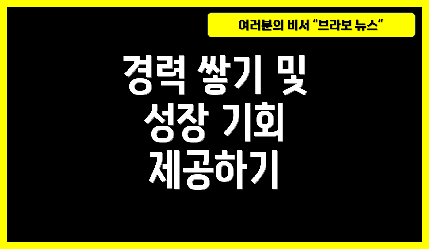 경력 쌓기 및 성장 기회 제공하기