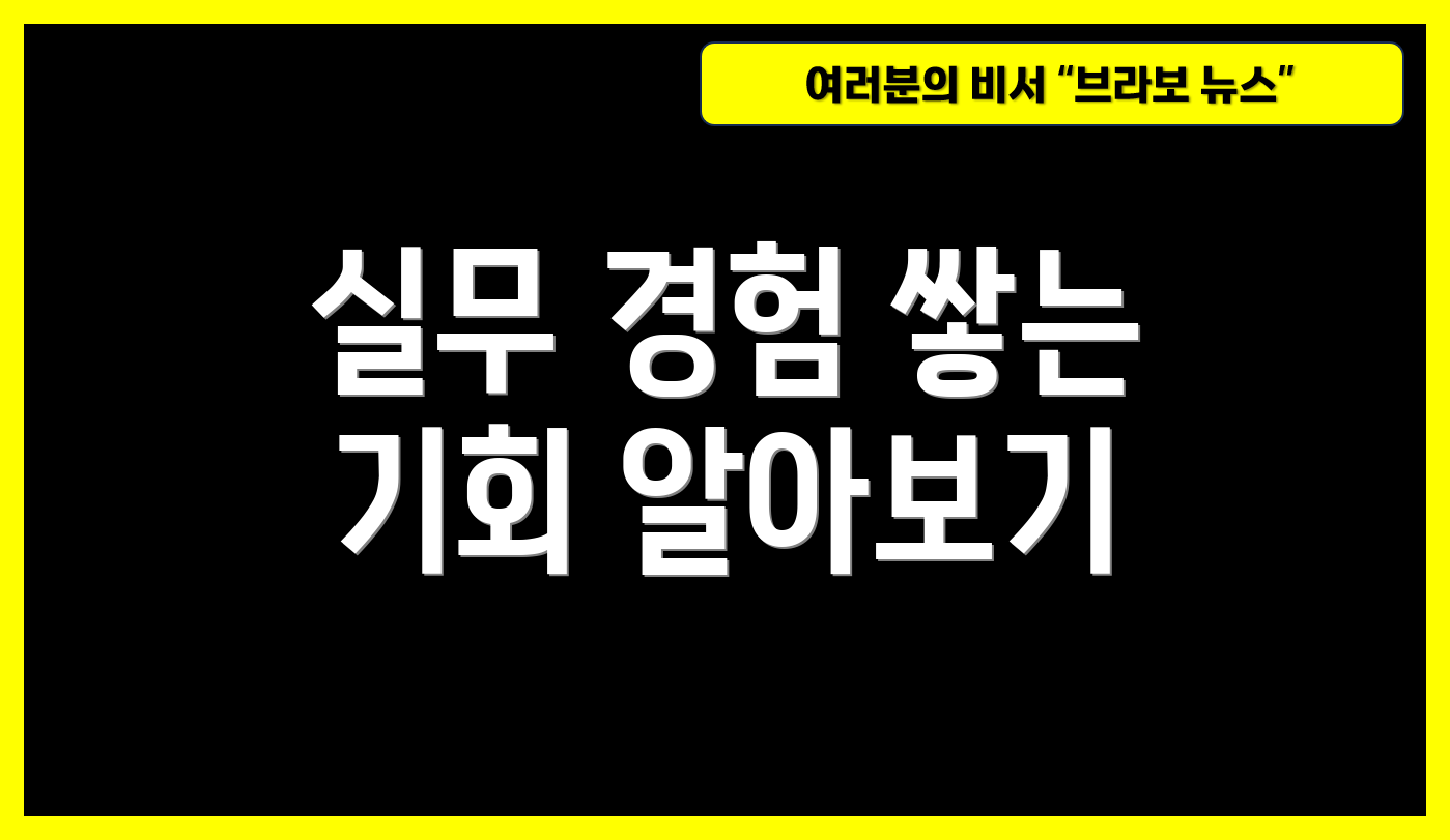 실무 경험 쌓는 기회 알아보기