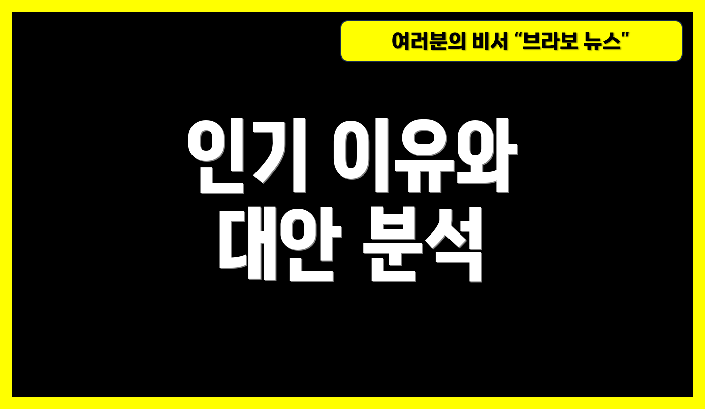인기 이유와 대안 분석
