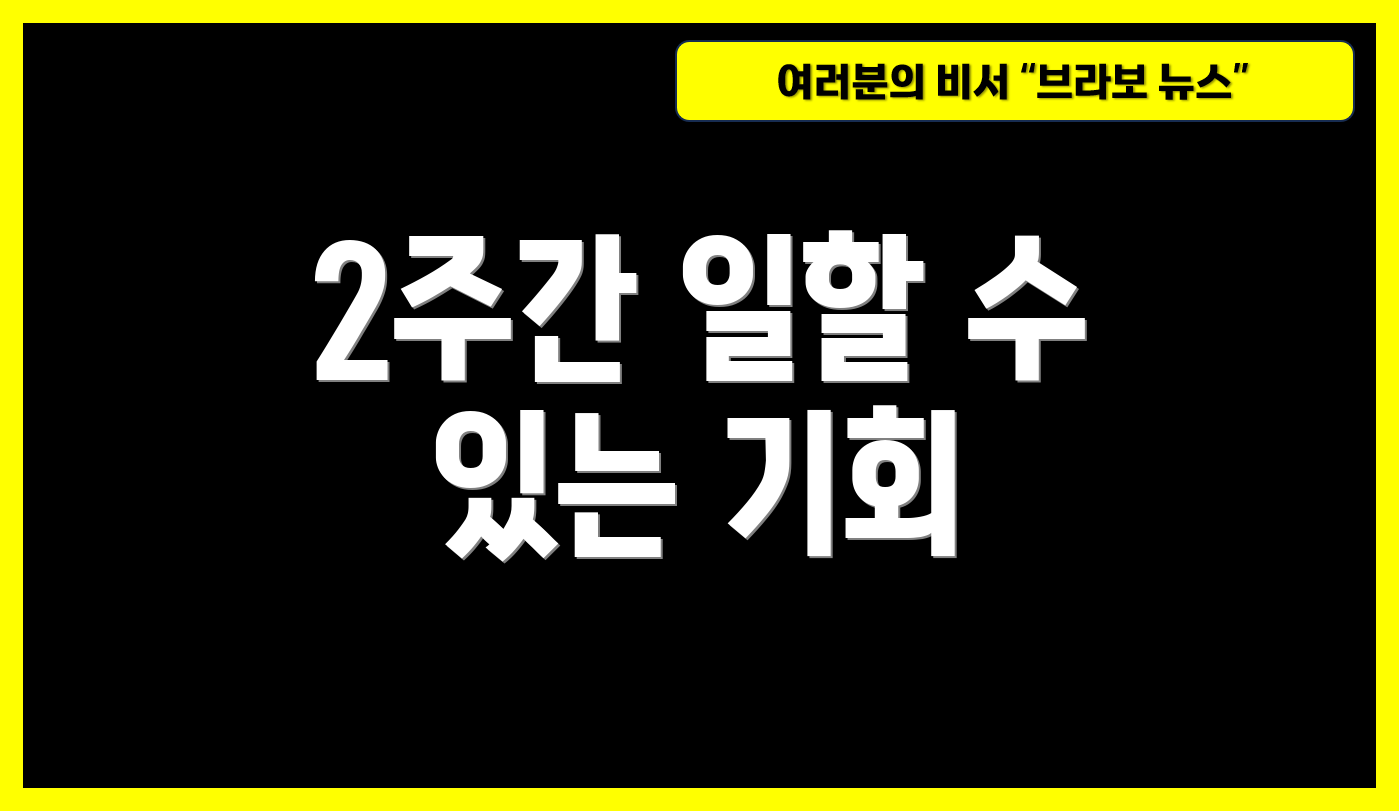 2주간 일할 수 있는 기회