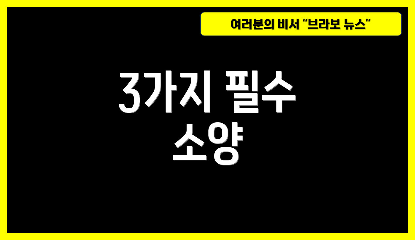 3가지 필수 소양