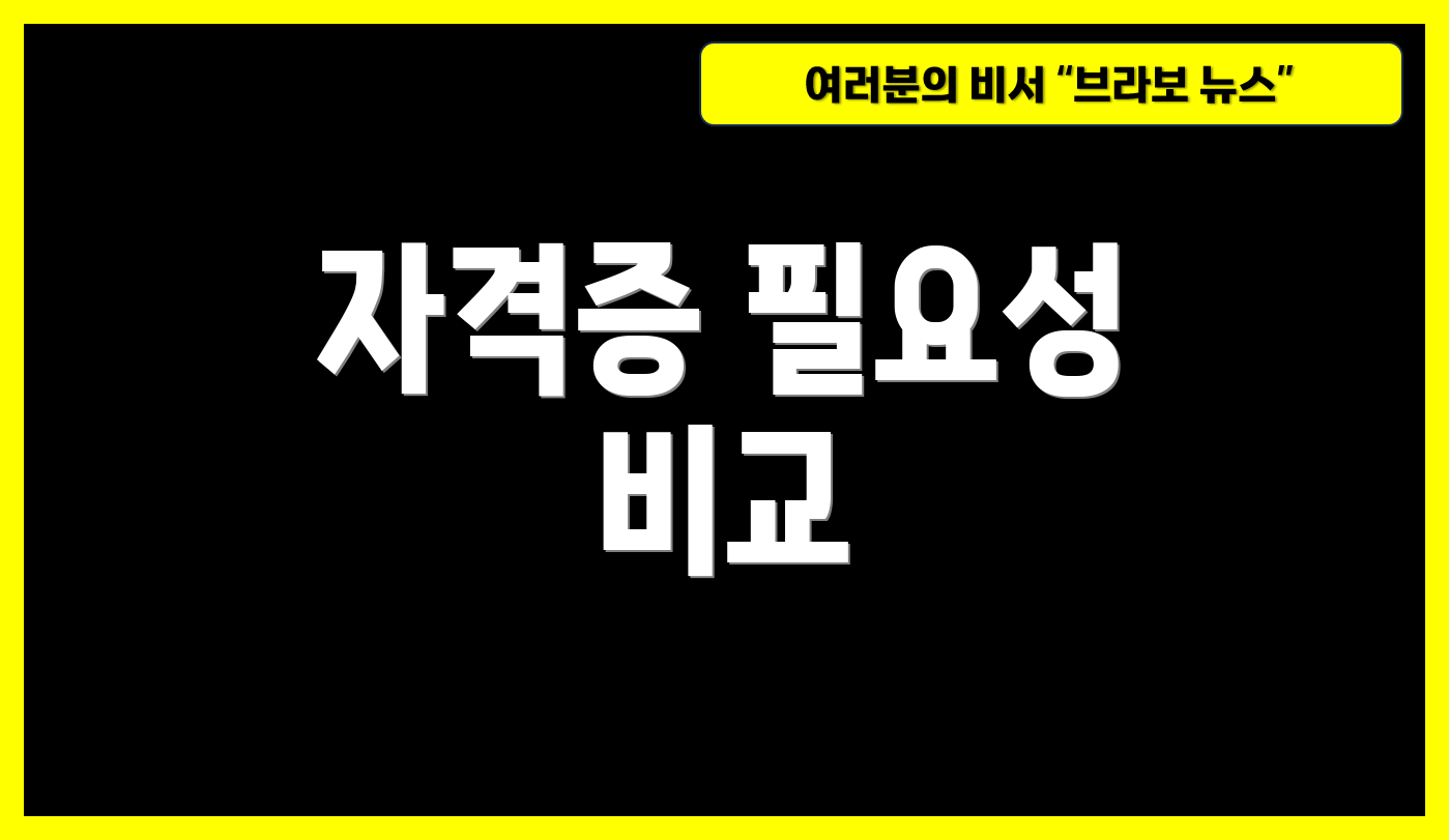 자격증 필요성 비교
