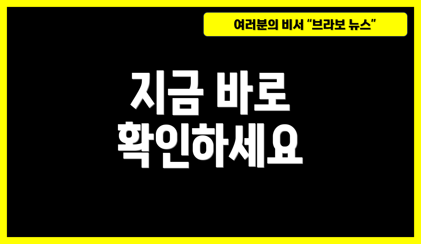 지금 바로 확인하세요