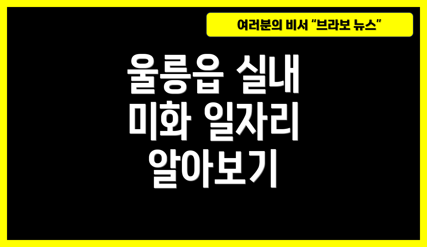 울릉읍 실내 미화 일자리 알아보기