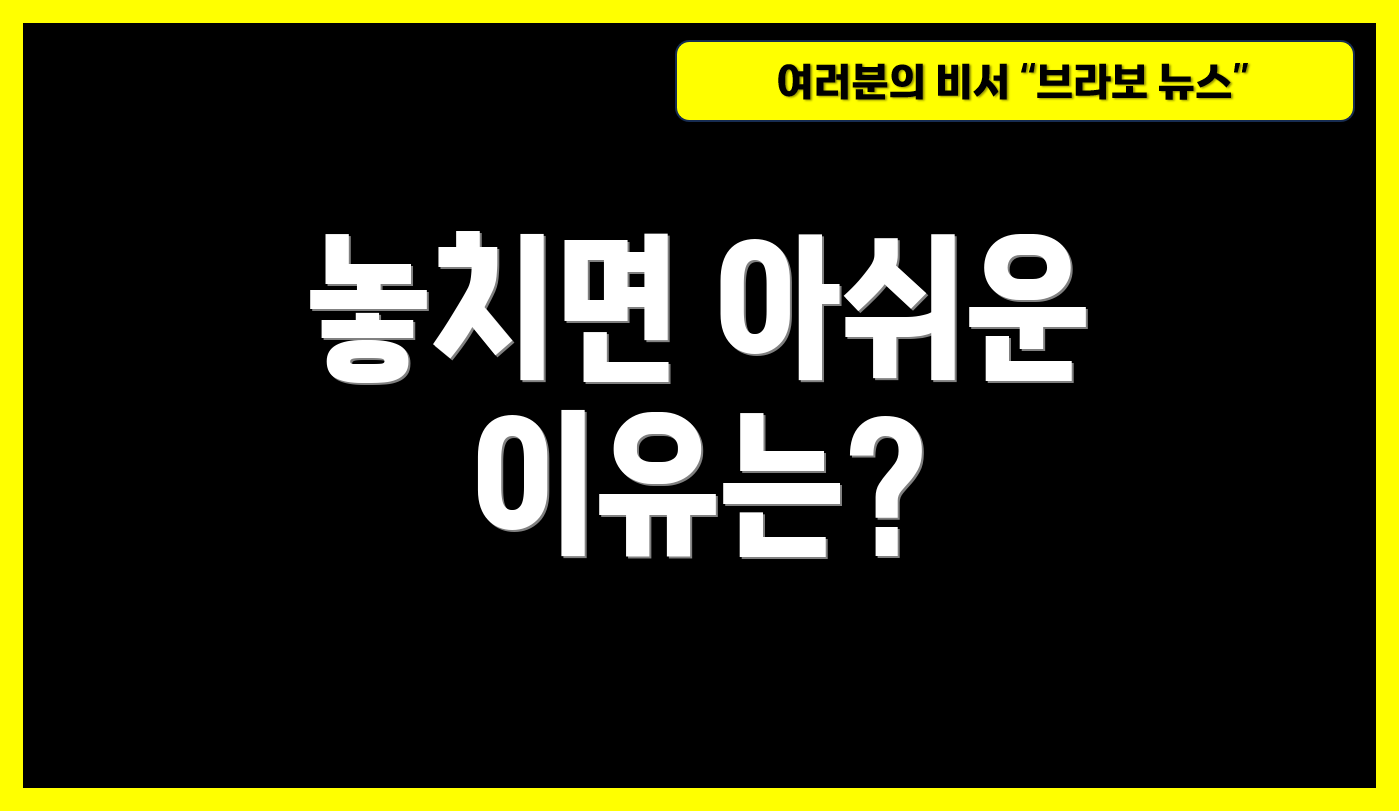 놓치면 아쉬운 이유는?