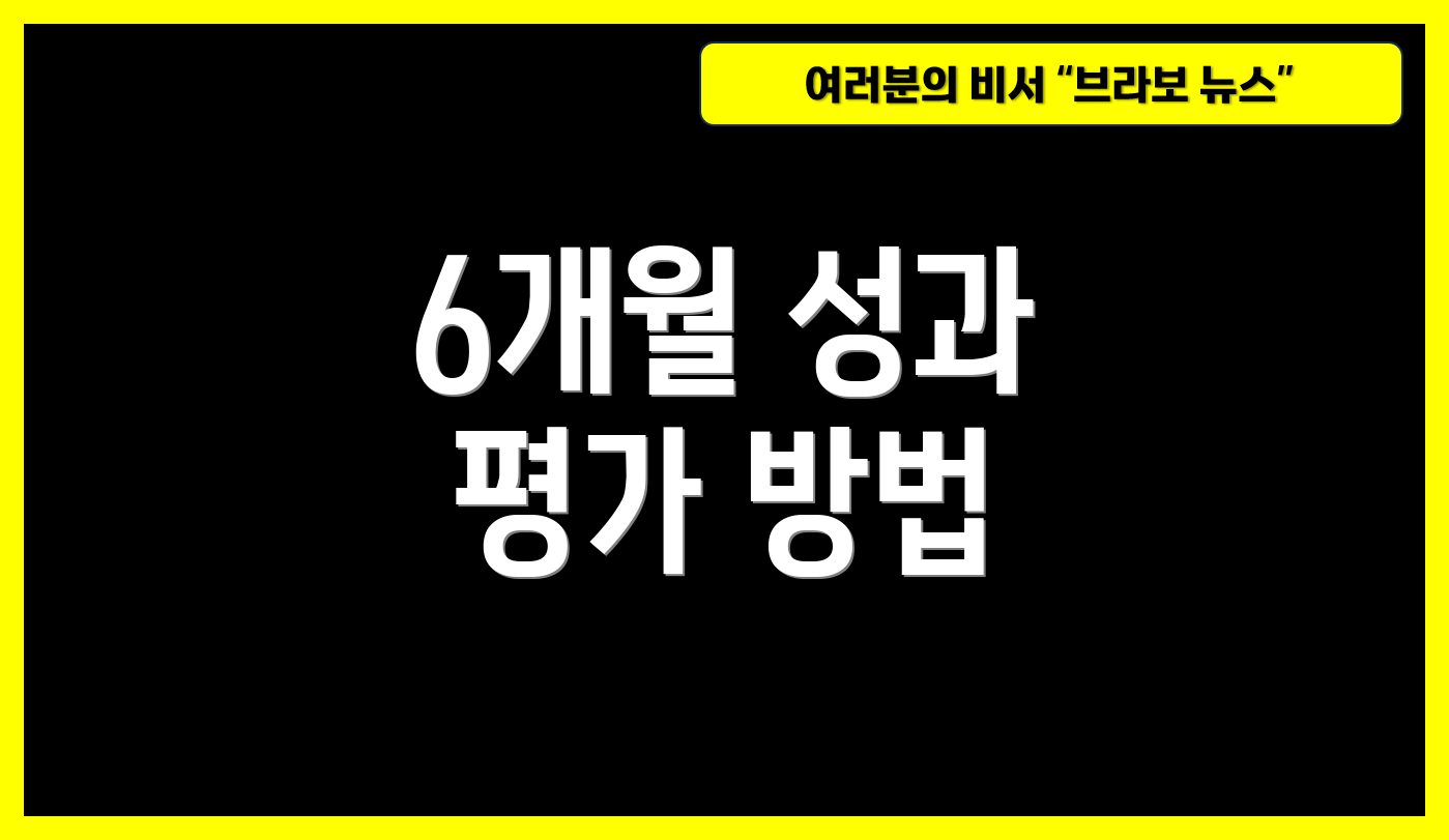 6개월 성과 평가 방법