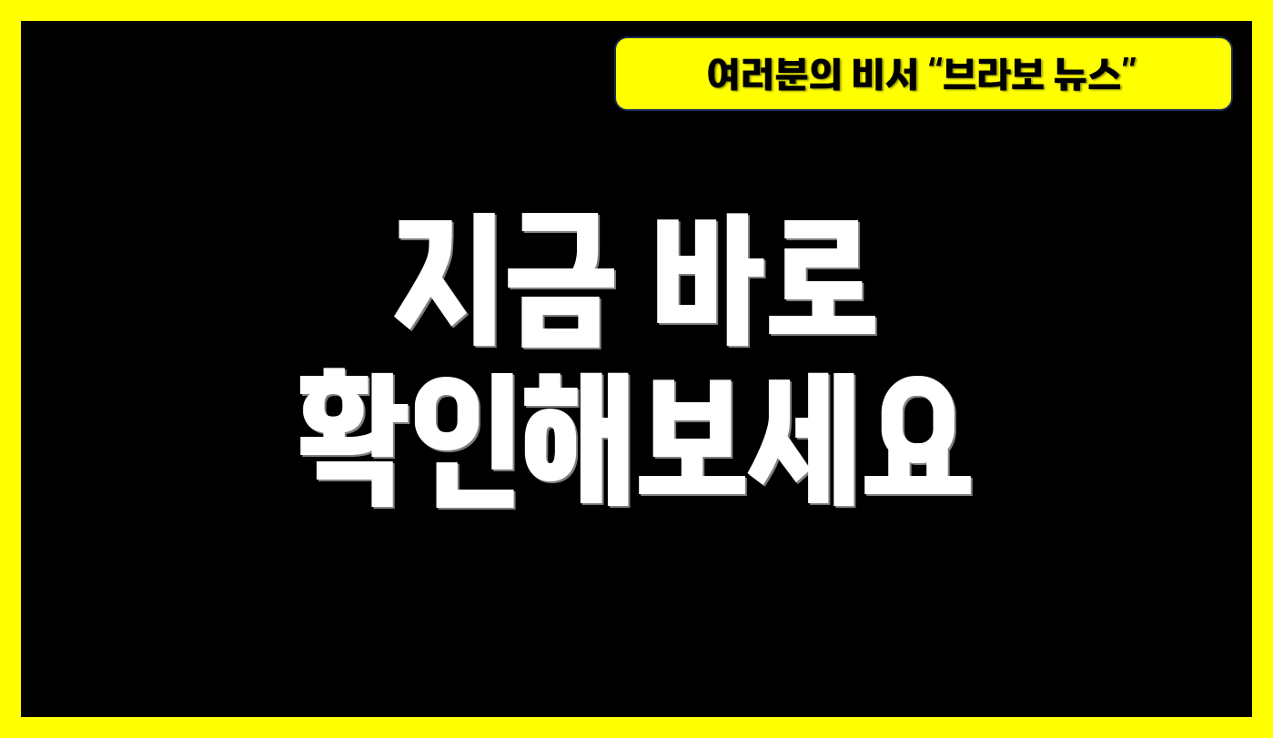 지금 바로 확인해보세요