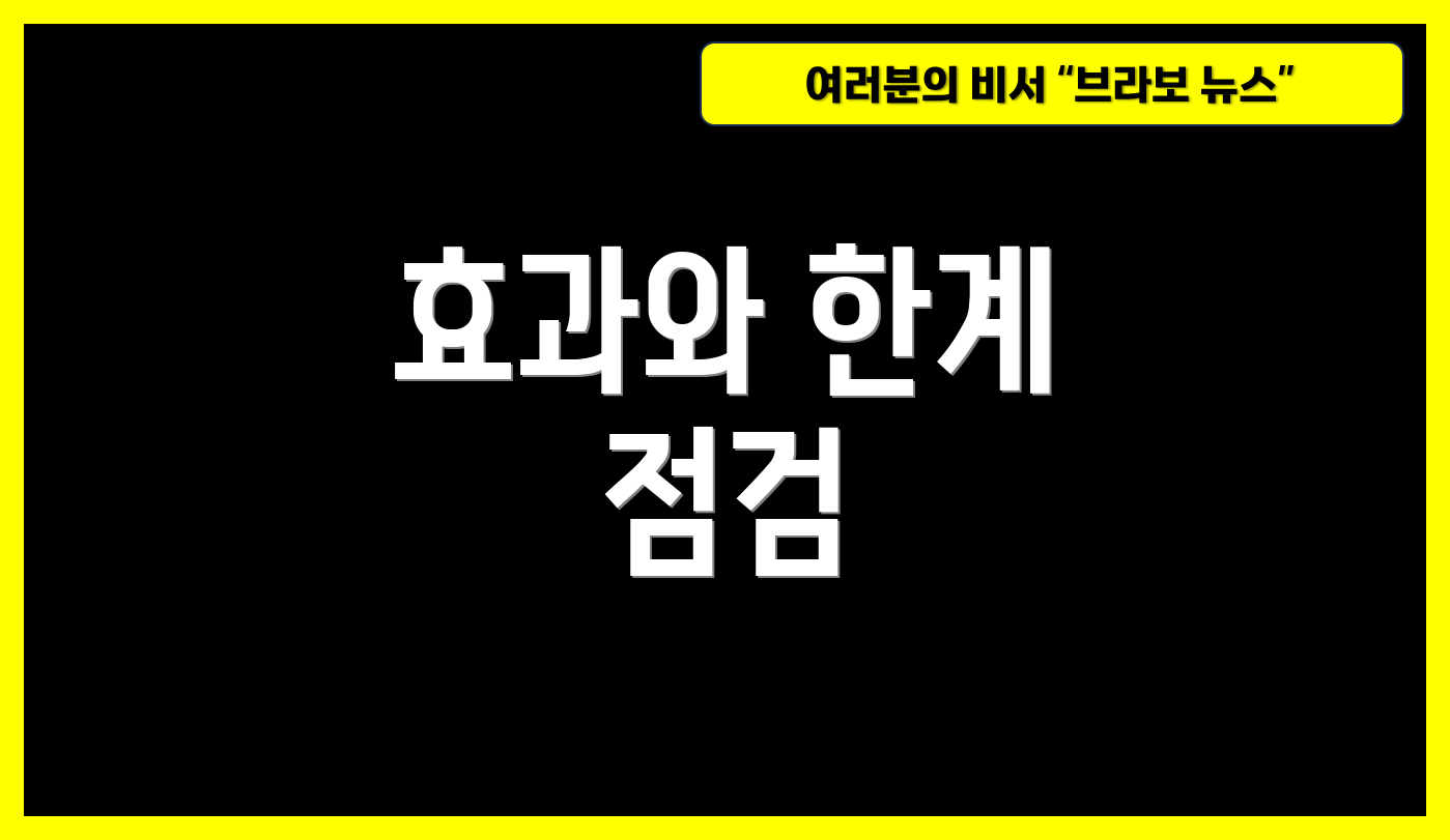 효과와 한계 점검