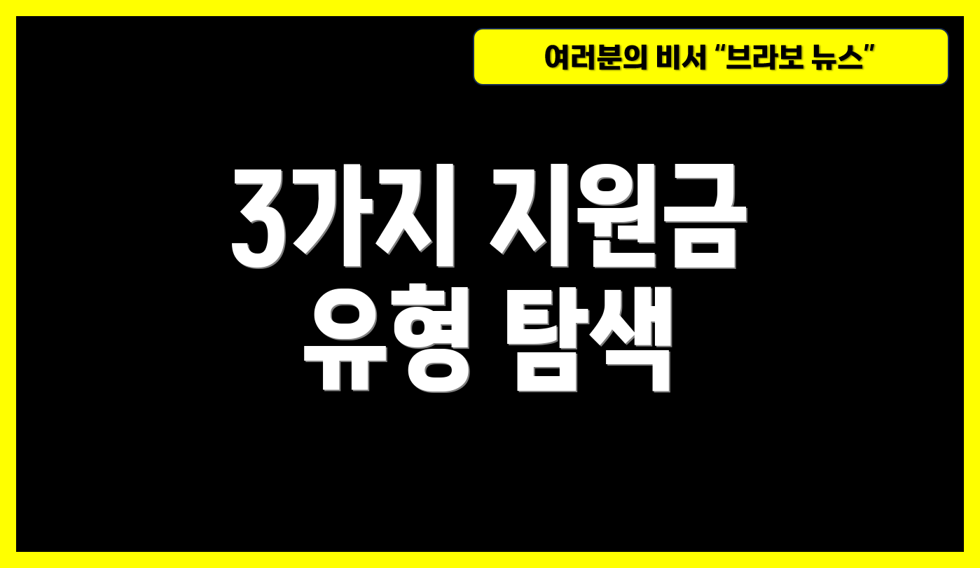 3가지 지원금 유형 탐색