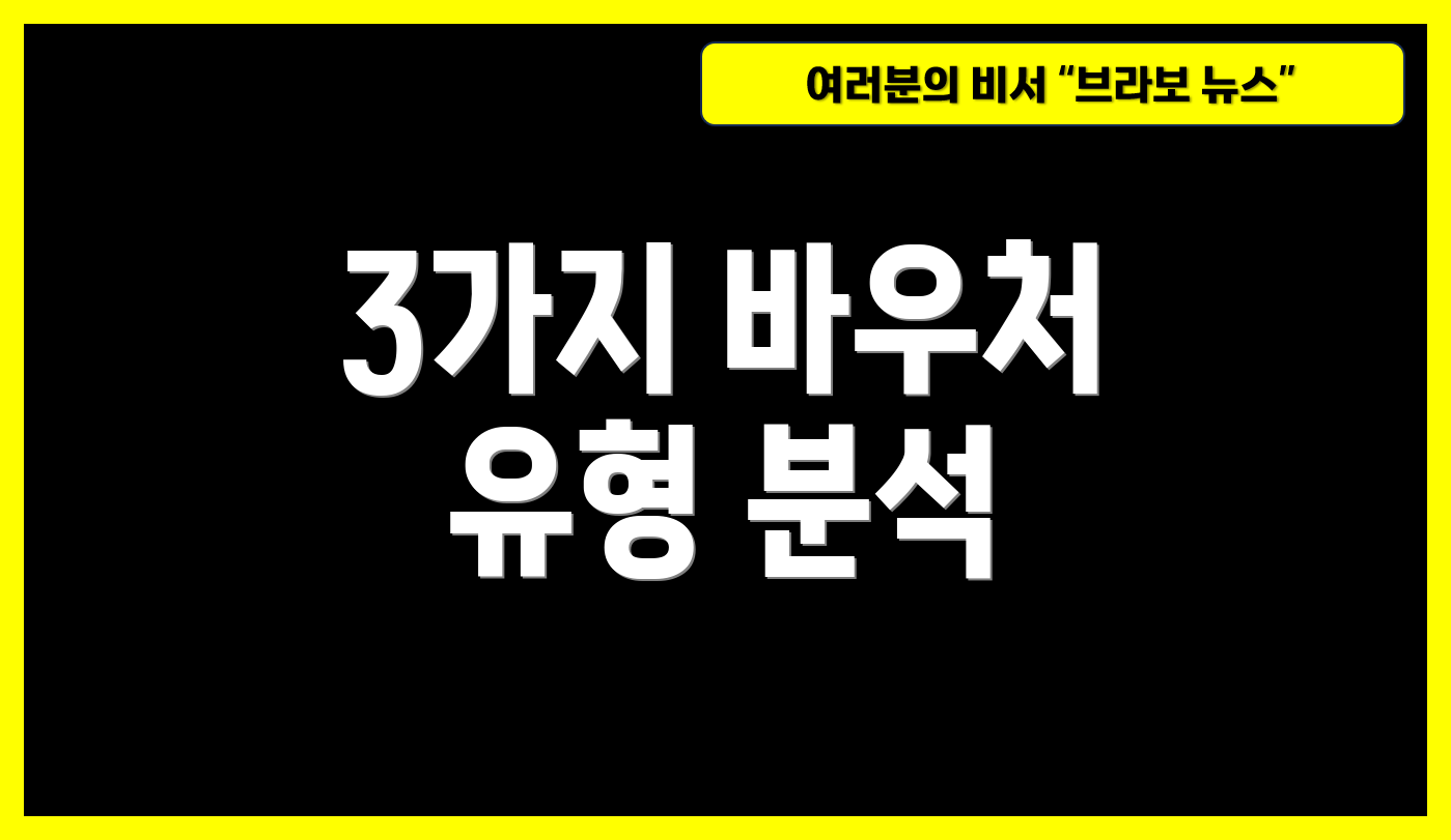 3가지 바우처 유형 분석
