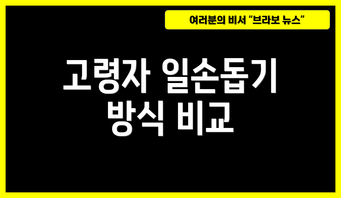 고령자 일손돕기 방식 비교