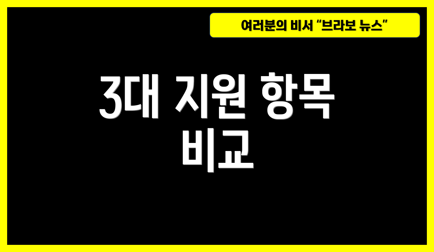 3대 지원 항목 비교
