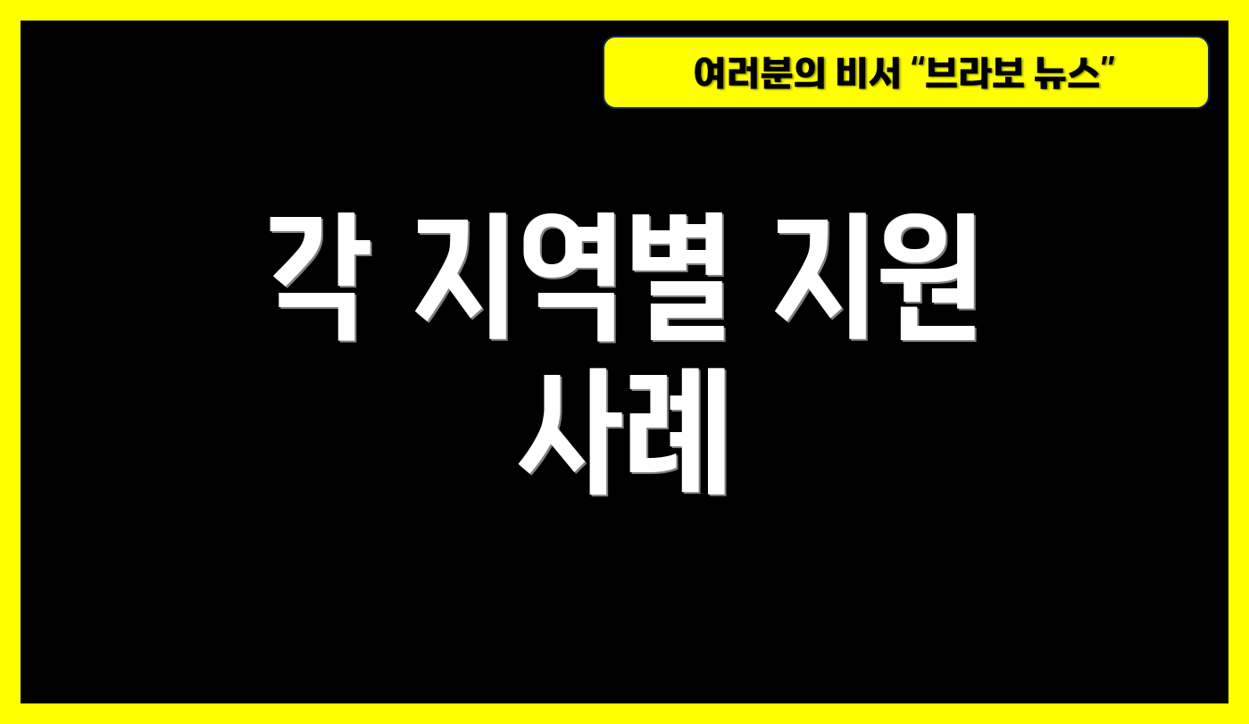 각 지역별 지원 사례