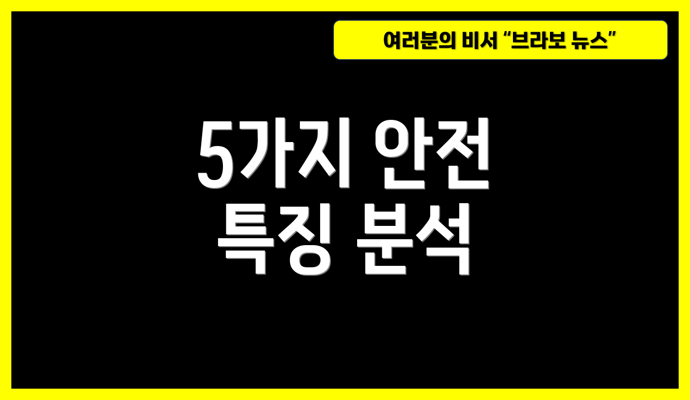 5가지 안전 특징 분석
