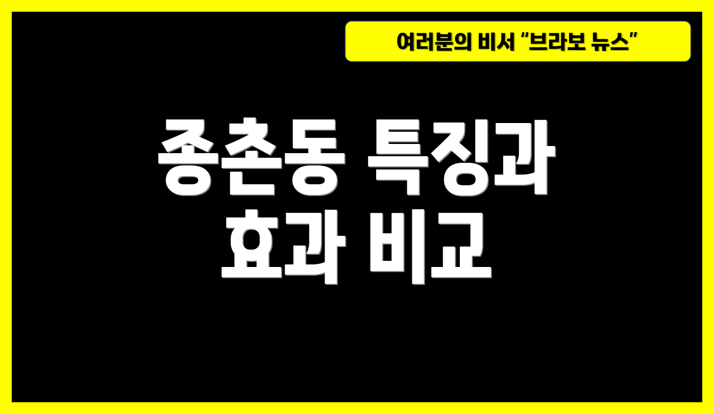 종촌동 특징과 효과 비교