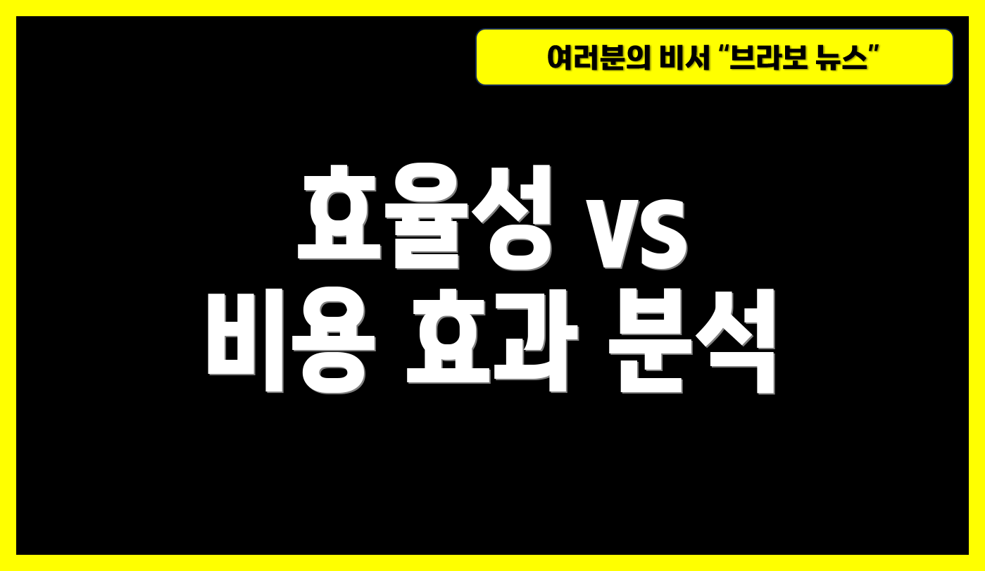 효율성 vs 비용 효과 분석