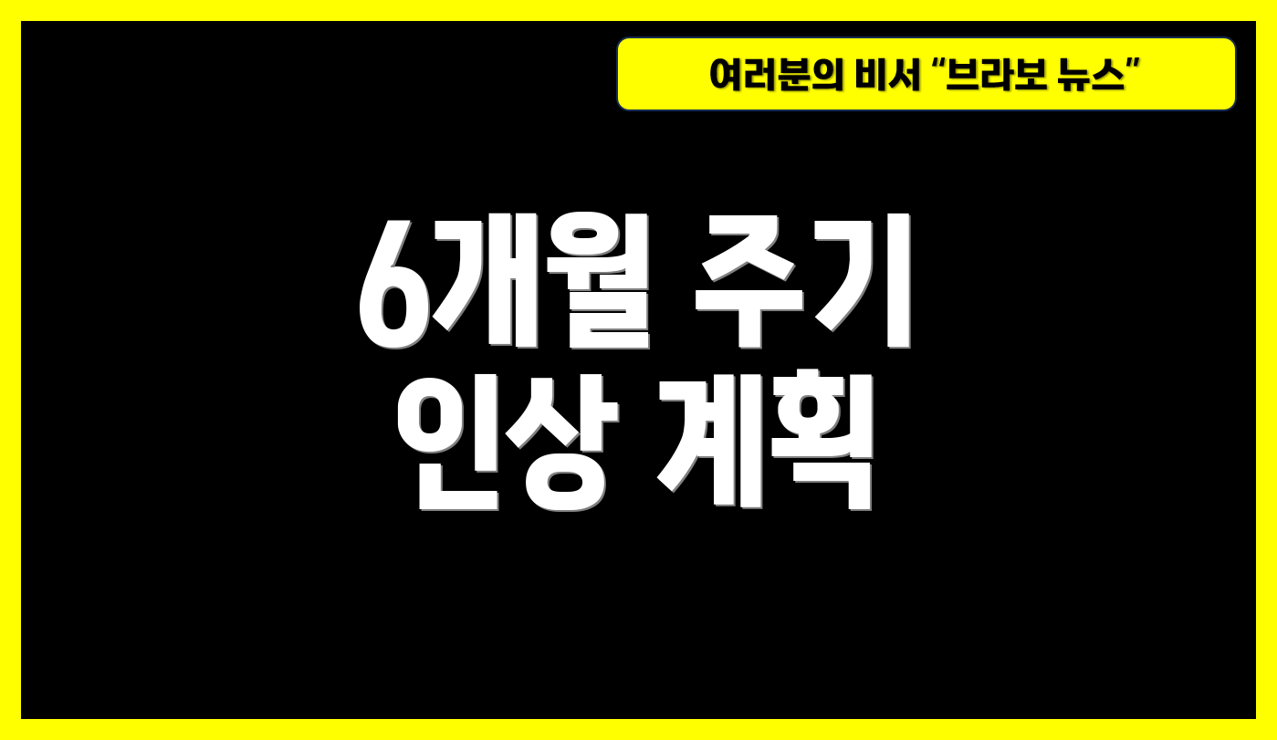 6개월 주기 인상 계획