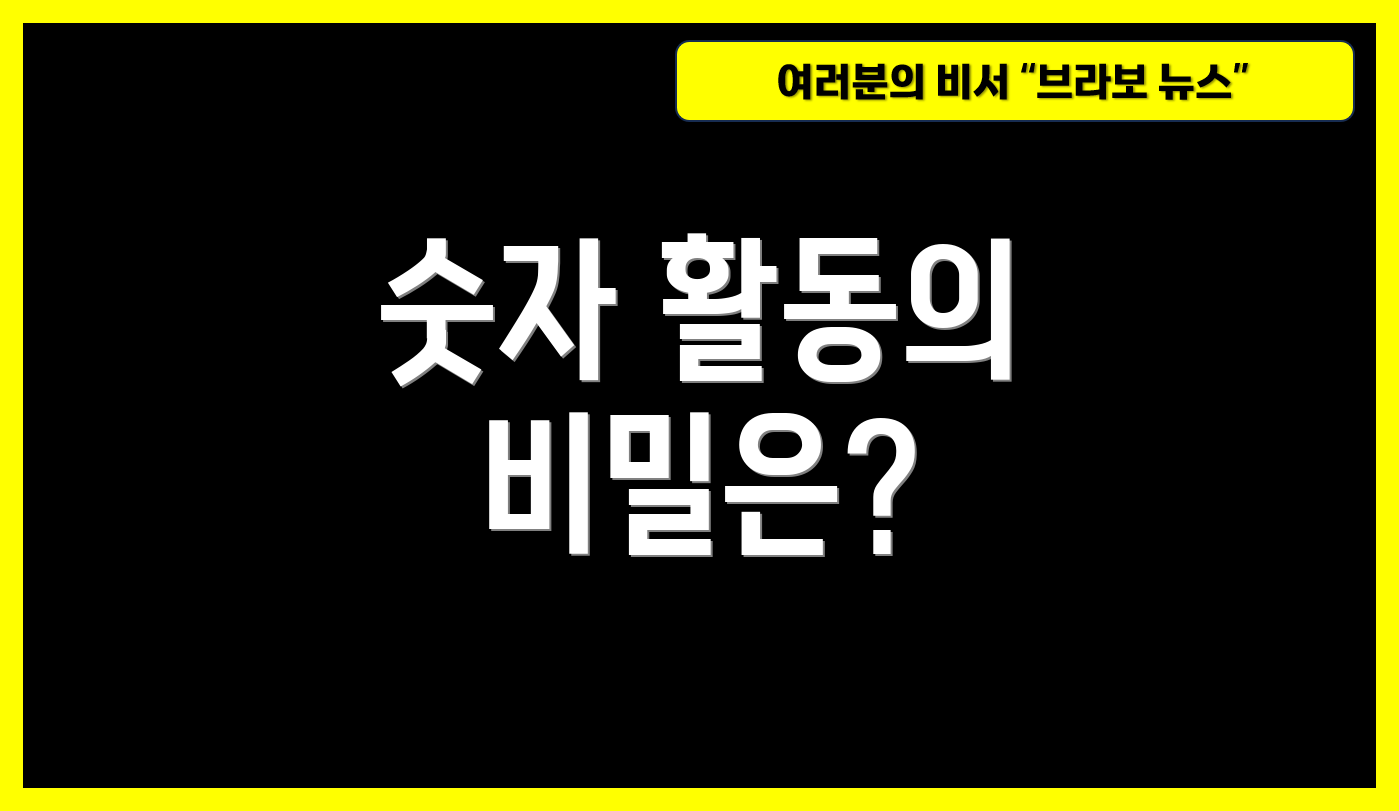 숫자 활동의 비밀은?