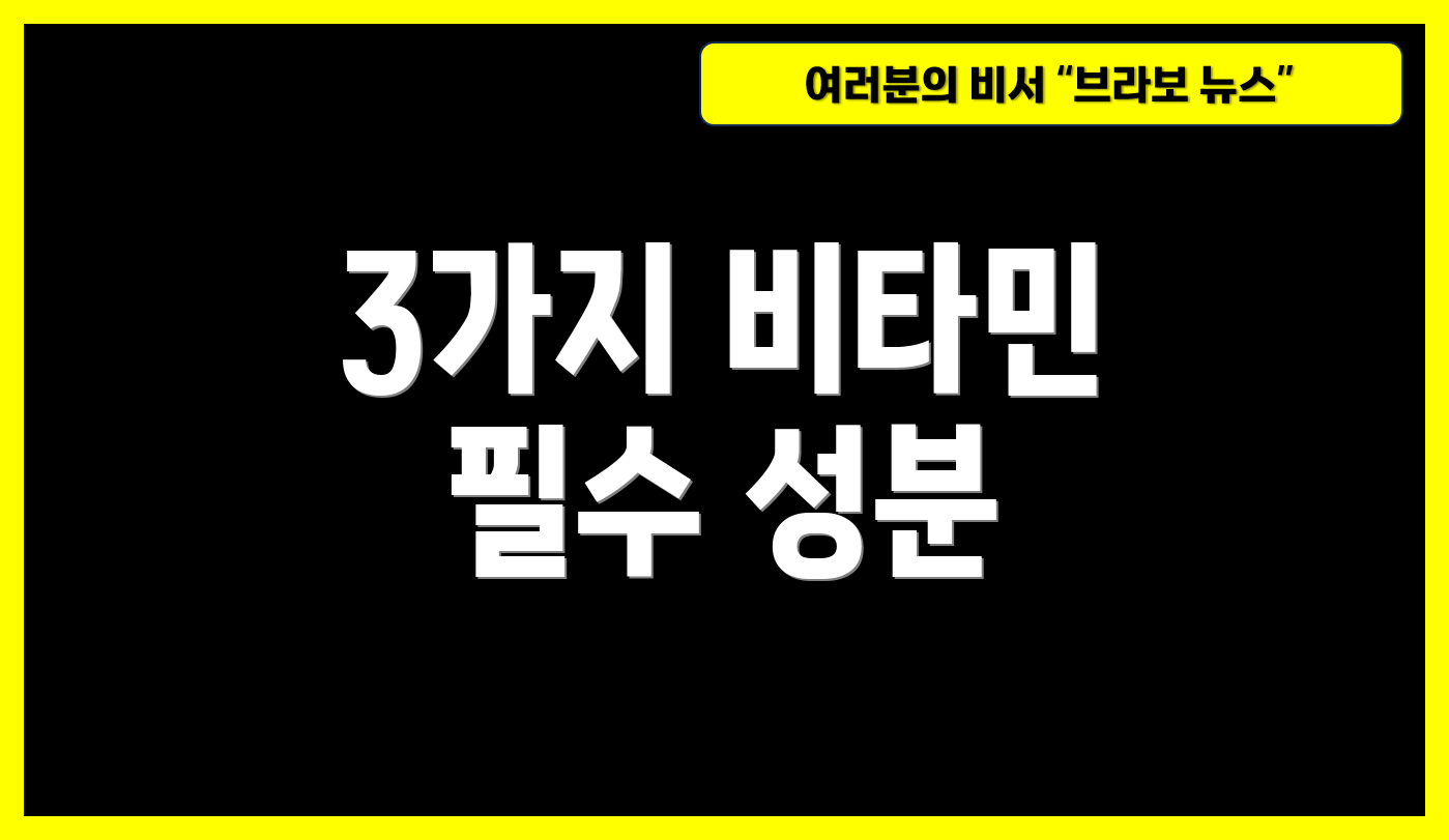 3가지 비타민 필수 성분