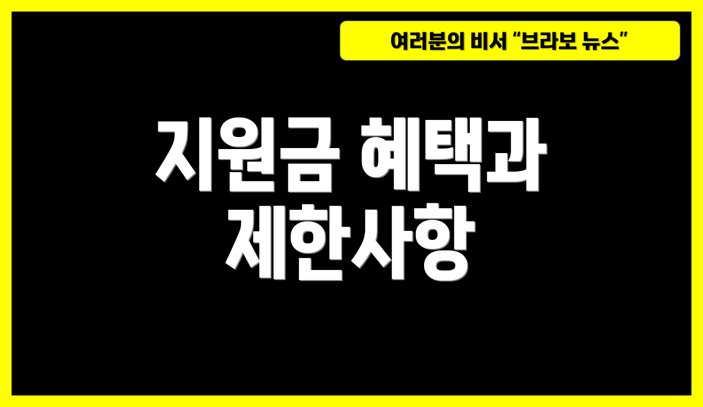 지원금 혜택과 제한사항