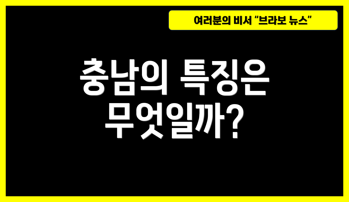 충남의 특징은 무엇일까?