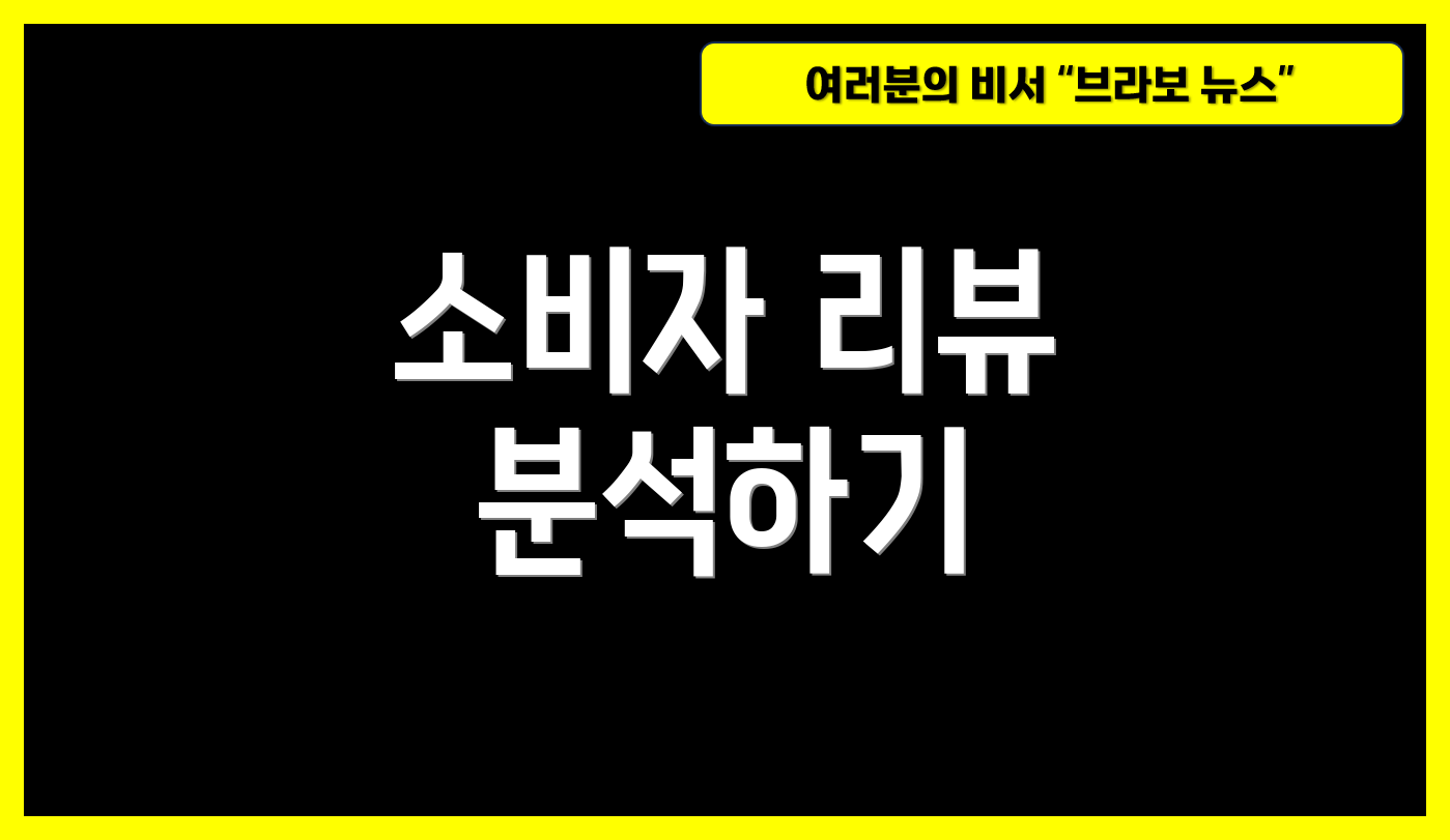 소비자 리뷰 분석하기