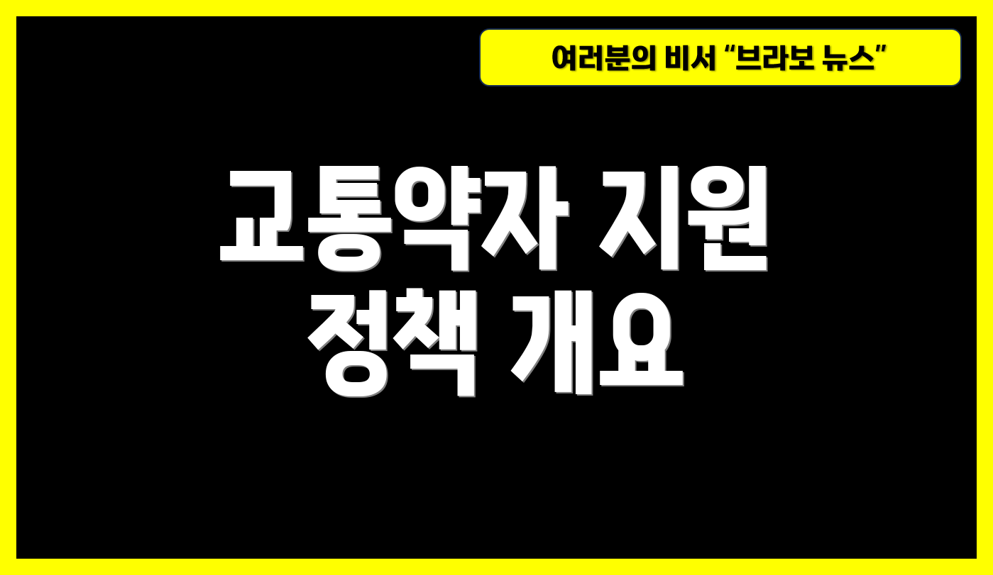 교통약자 지원 정책 개요