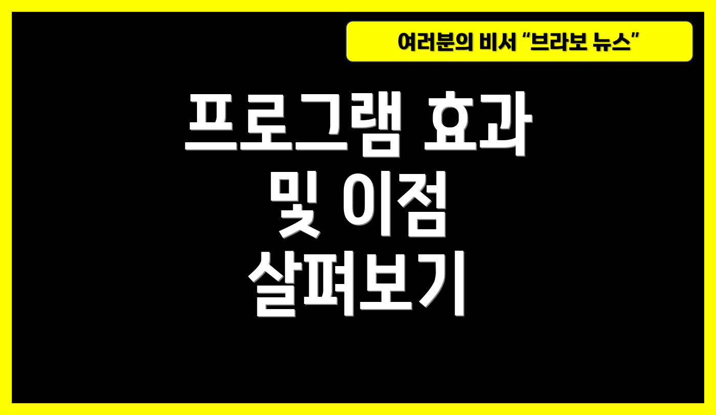 프로그램 효과 및 이점 살펴보기