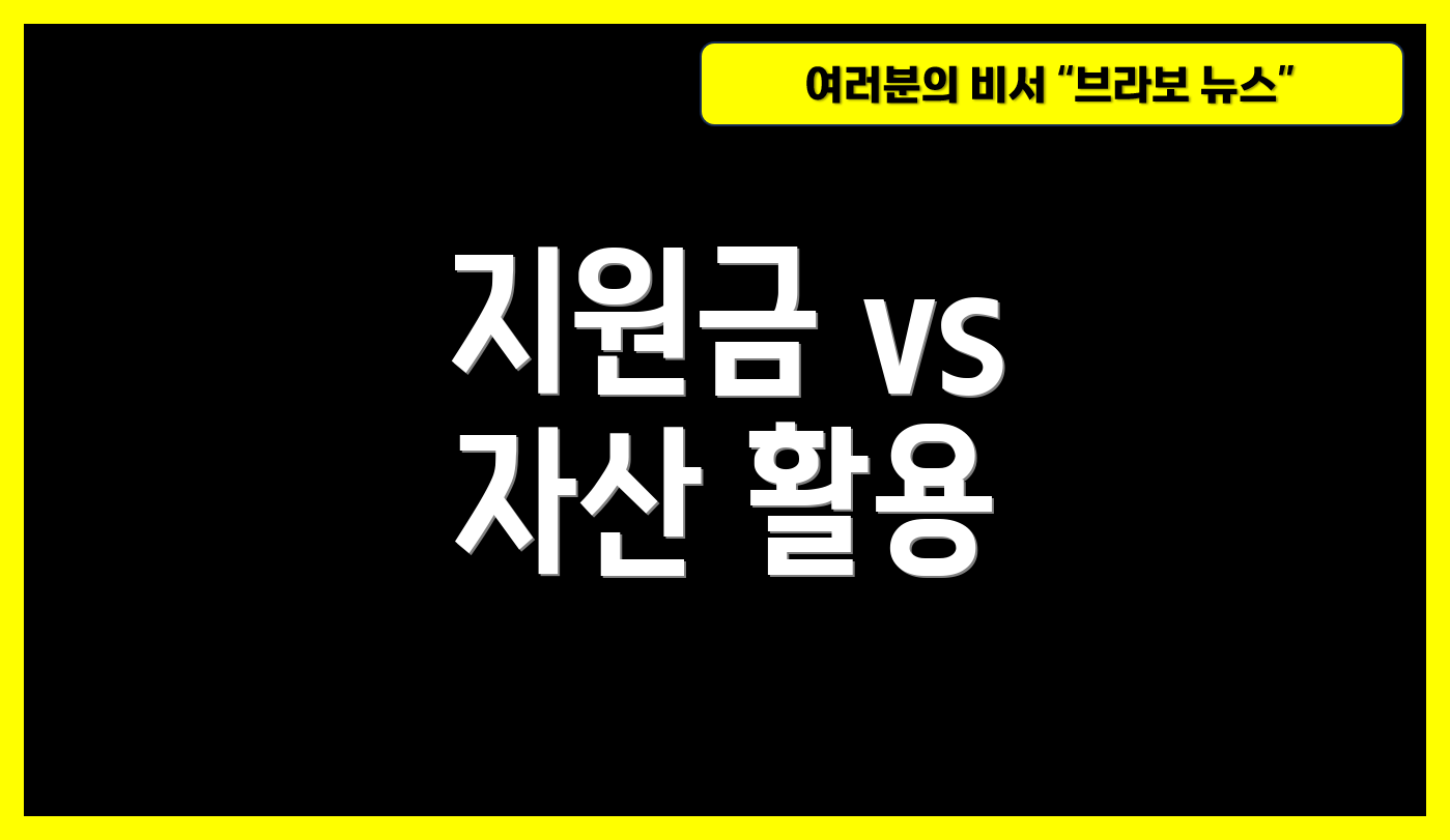 지원금 vs 자산 활용