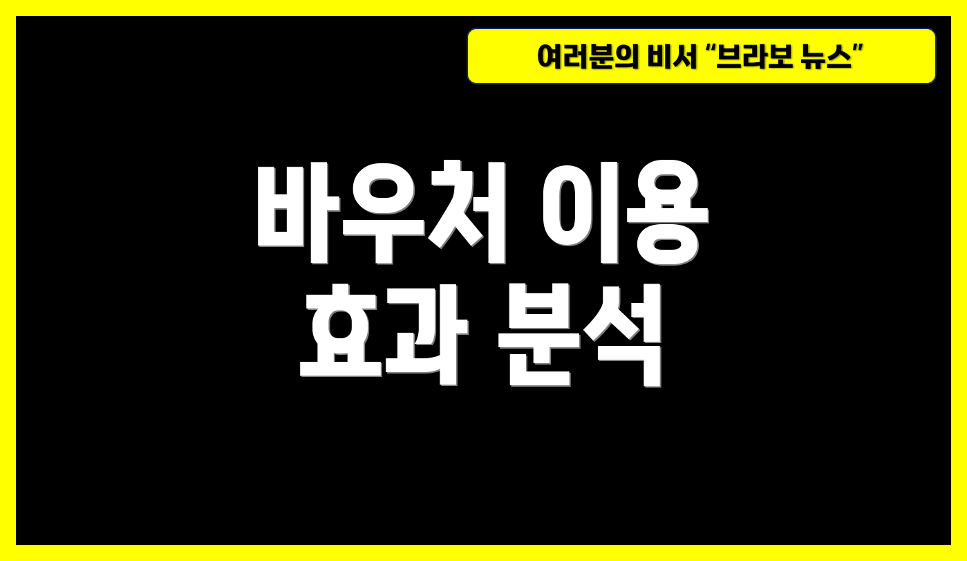 바우처 이용 효과 분석