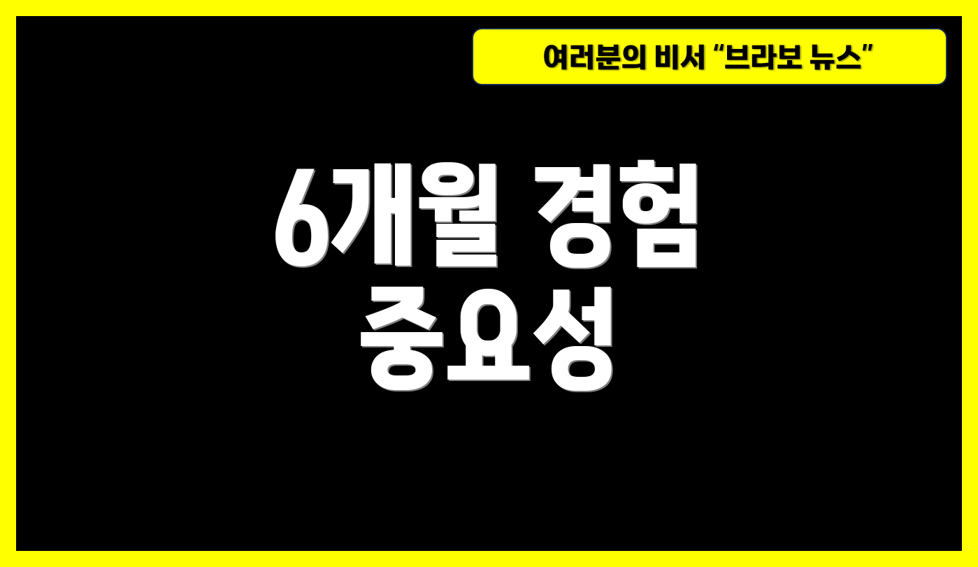 6개월 경험 중요성