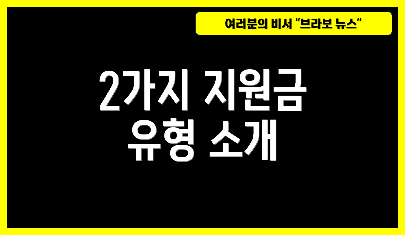 2가지 지원금 유형 소개