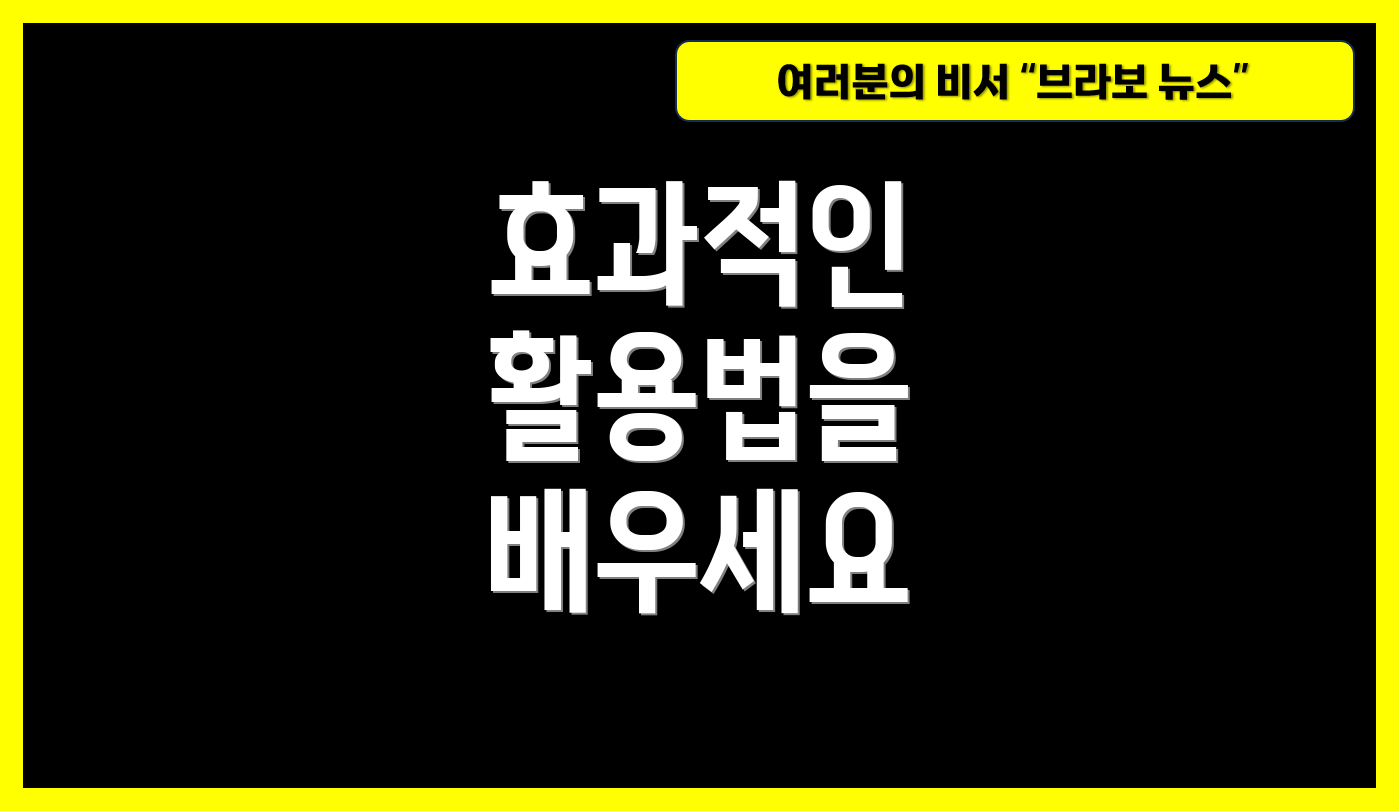 효과적인 활용법을 배우세요