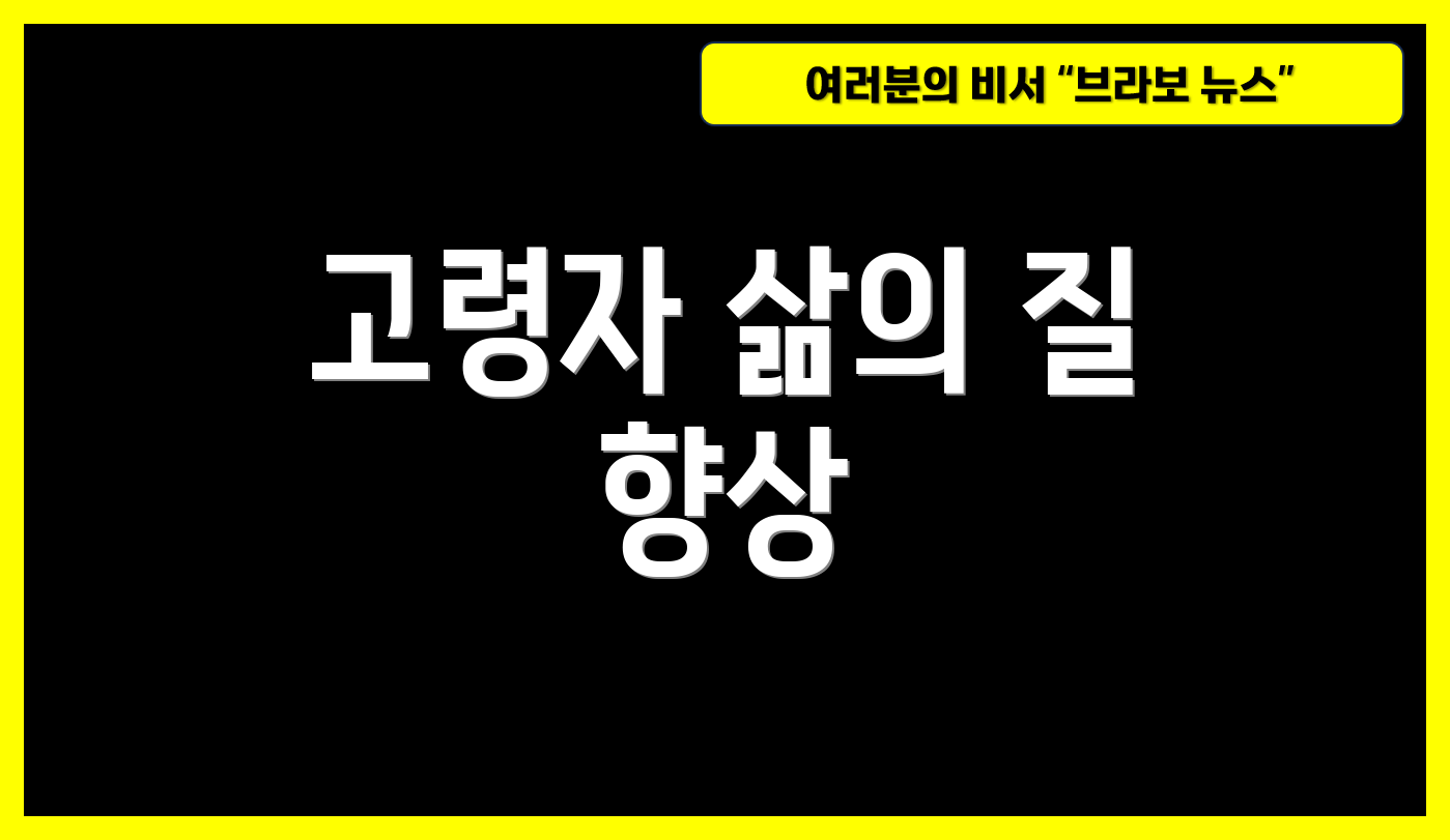고령자 삶의 질 향상