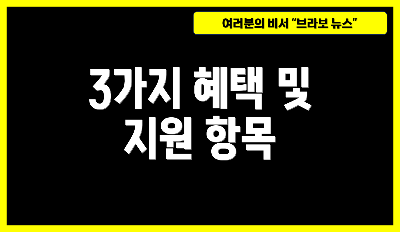 3가지 혜택 및 지원 항목