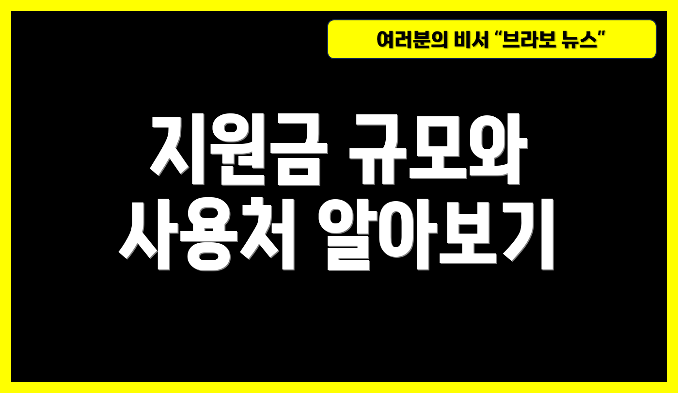 지원금 규모와 사용처 알아보기
