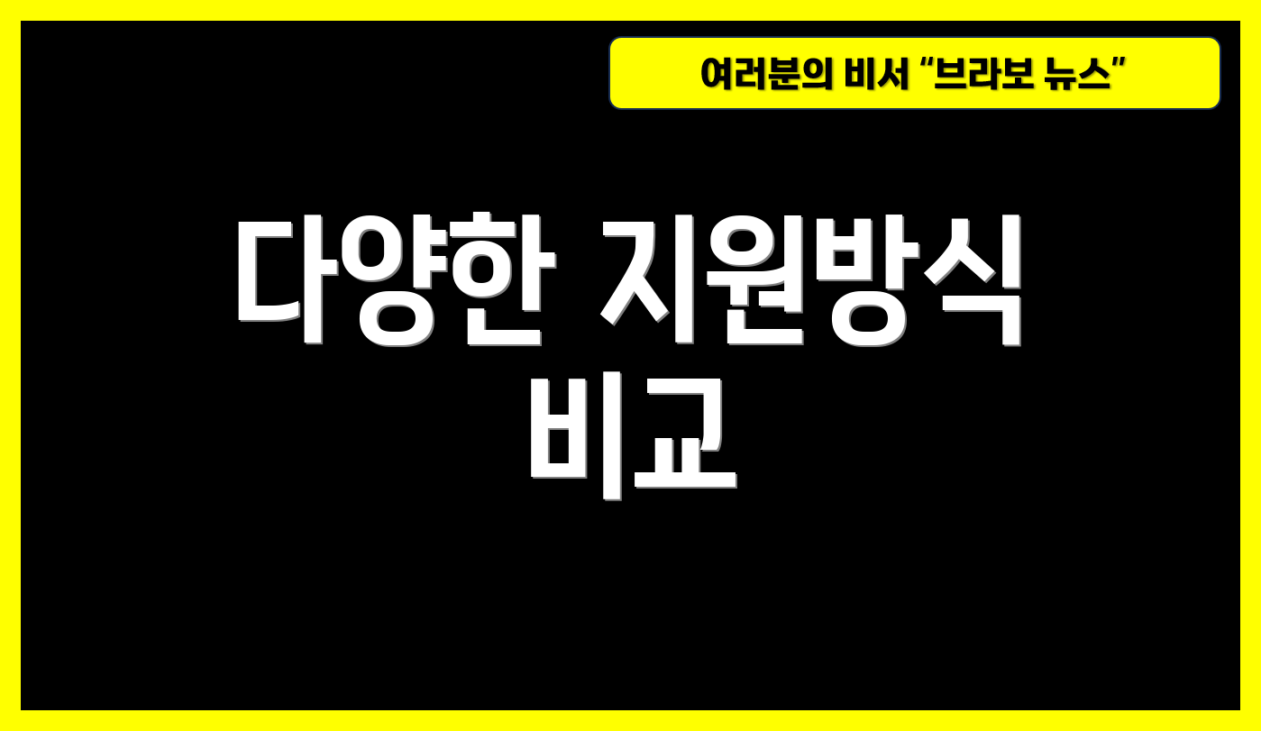 다양한 지원방식 비교