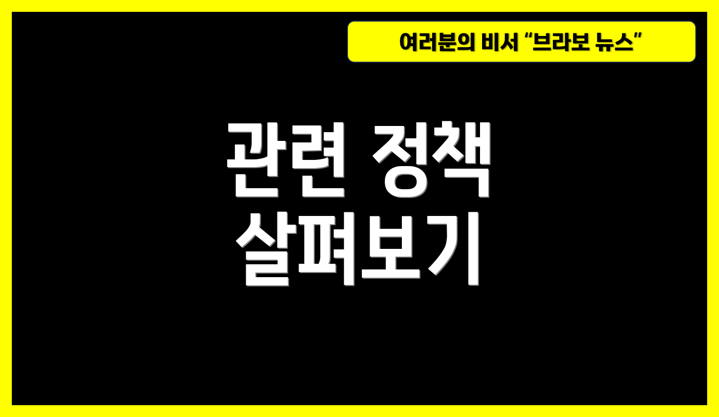 관련 정책 살펴보기
