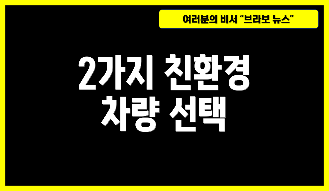 2가지 친환경 차량 선택