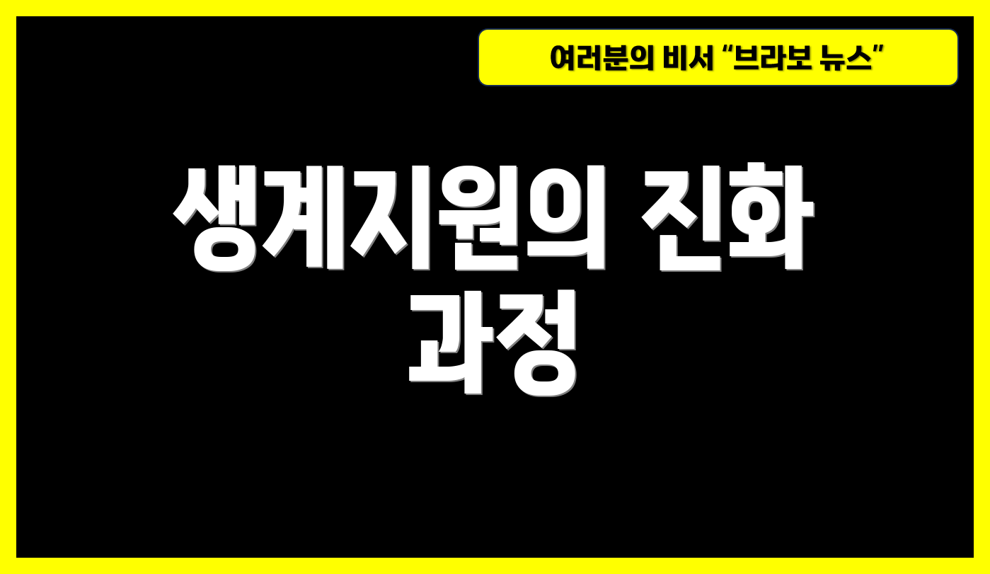 생계지원의 진화 과정