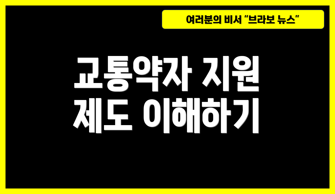 교통약자 지원 제도 이해하기