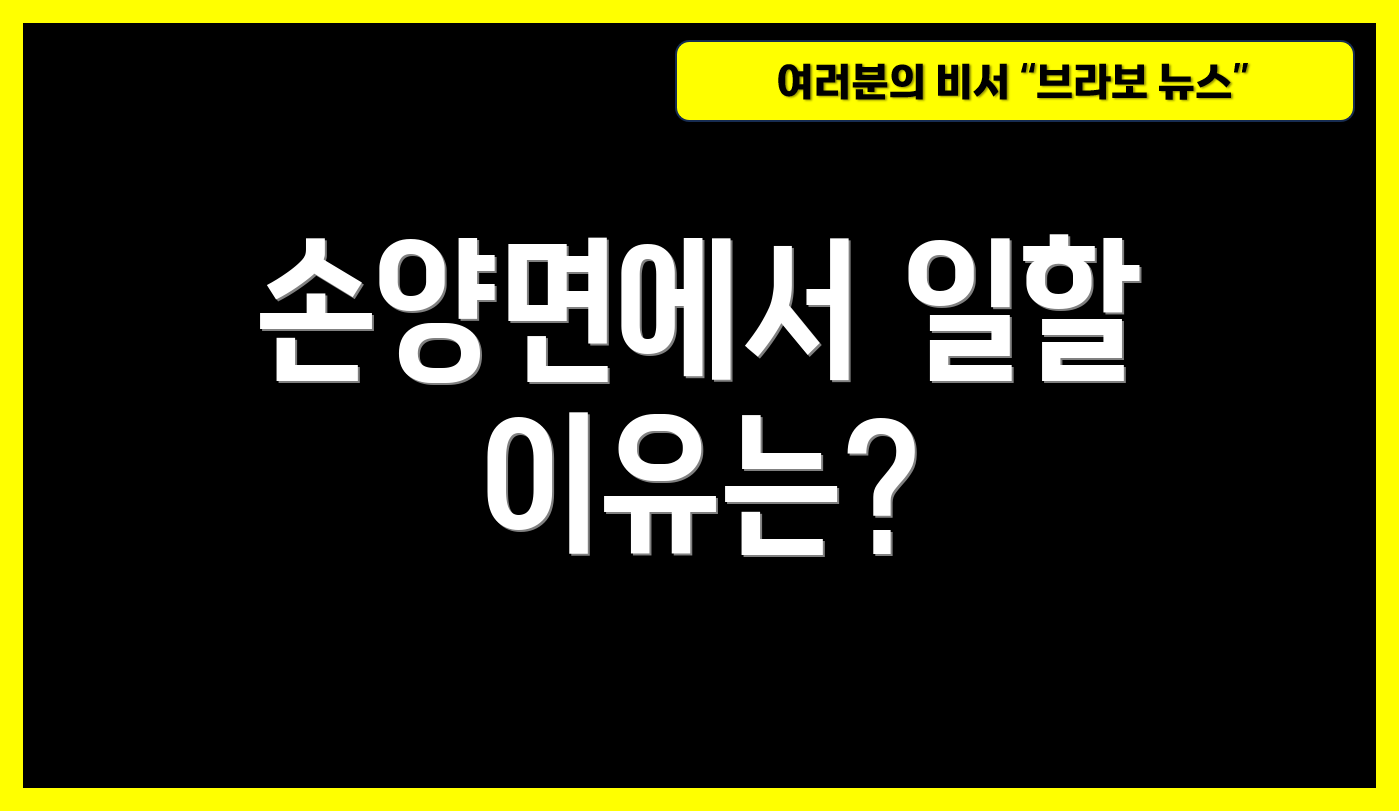 손양면에서 일할 이유는?