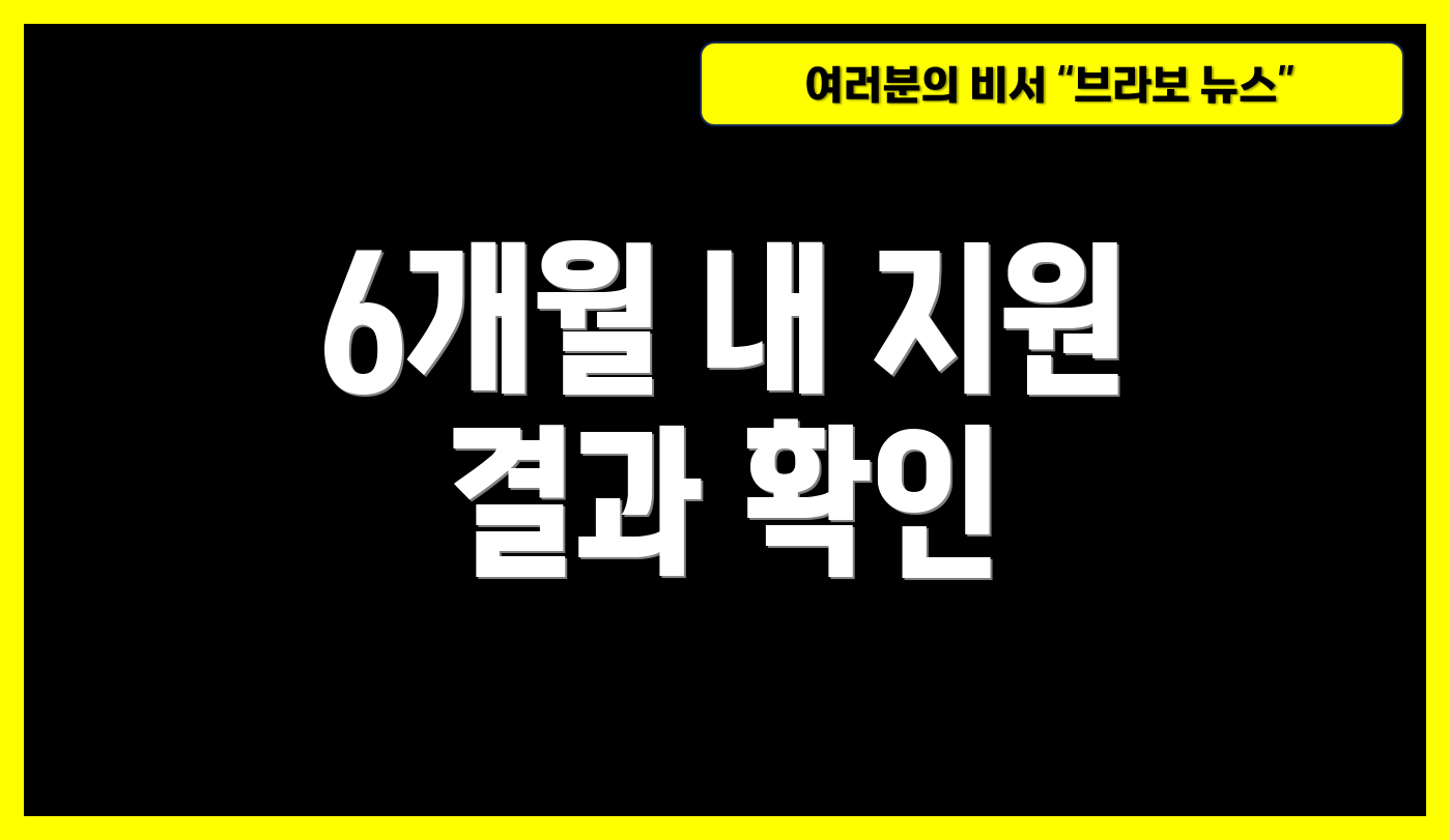 6개월 내 지원 결과 확인