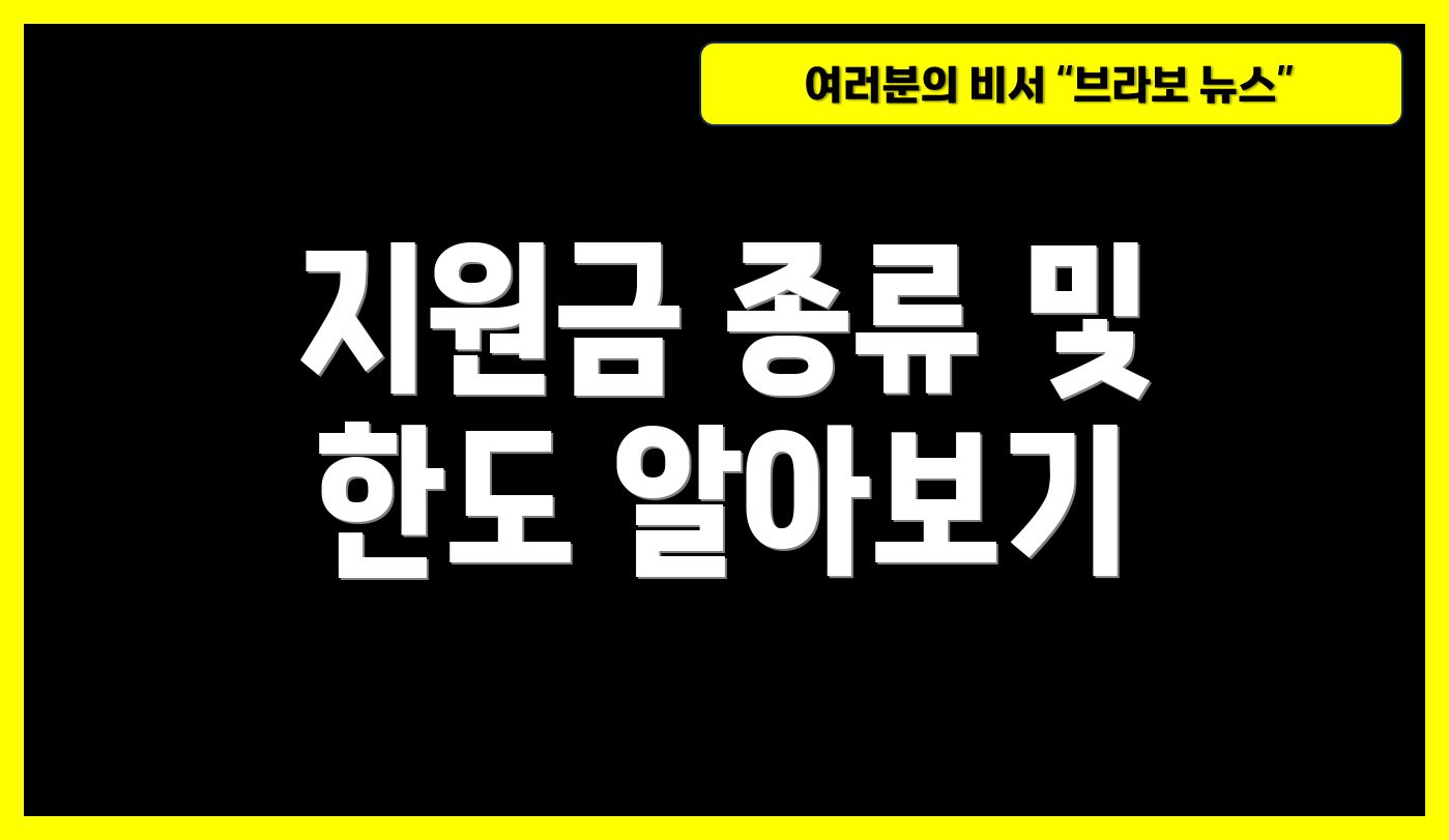 지원금 종류 및 한도 알아보기