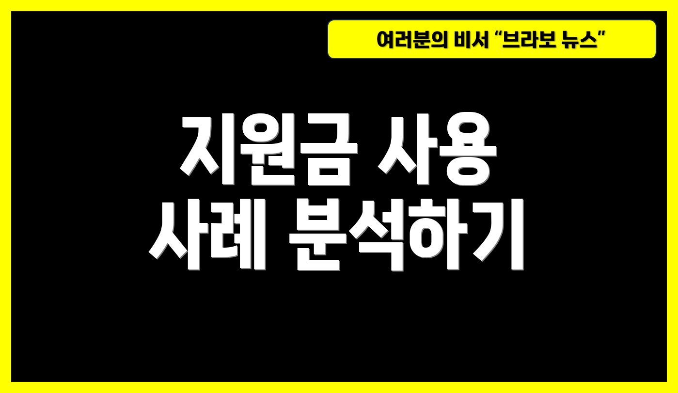 지원금 사용 사례 분석하기