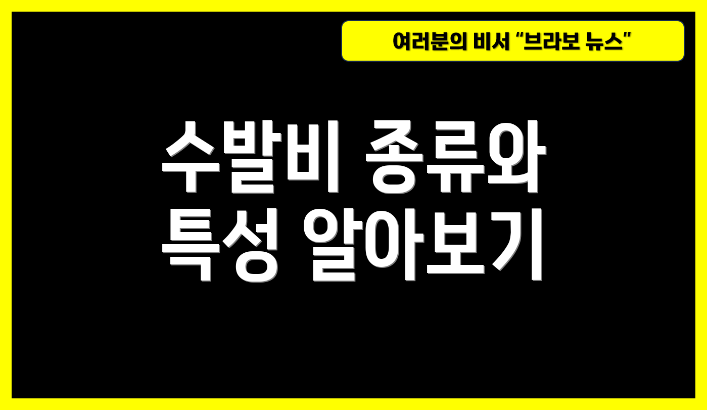 수발비 종류와 특성 알아보기