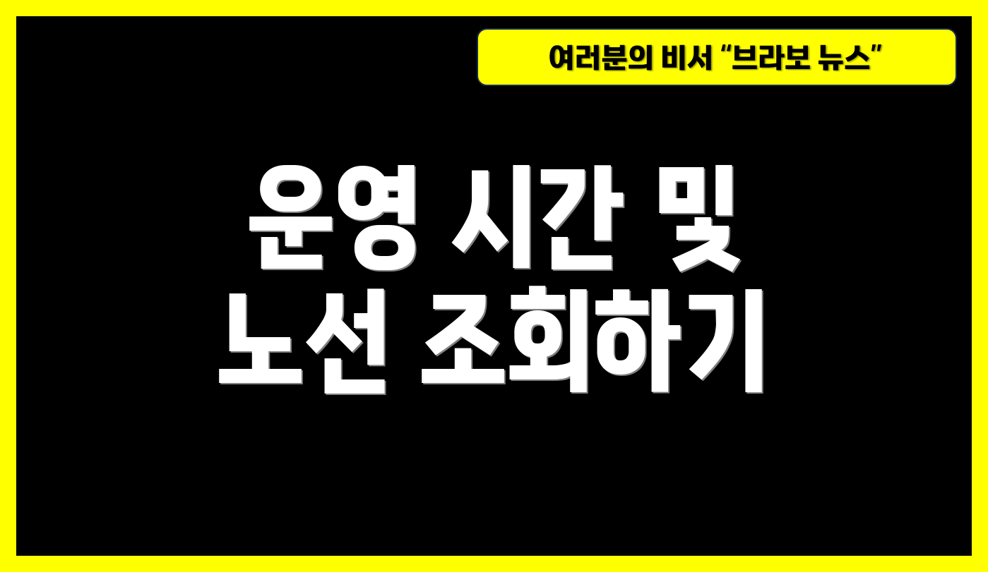 운영 시간 및 노선 조회하기