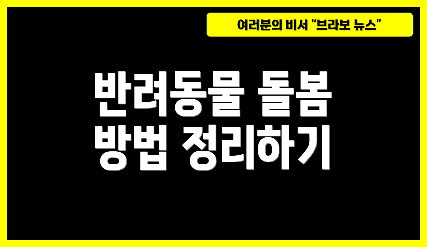 반려동물 돌봄 방법 정리하기