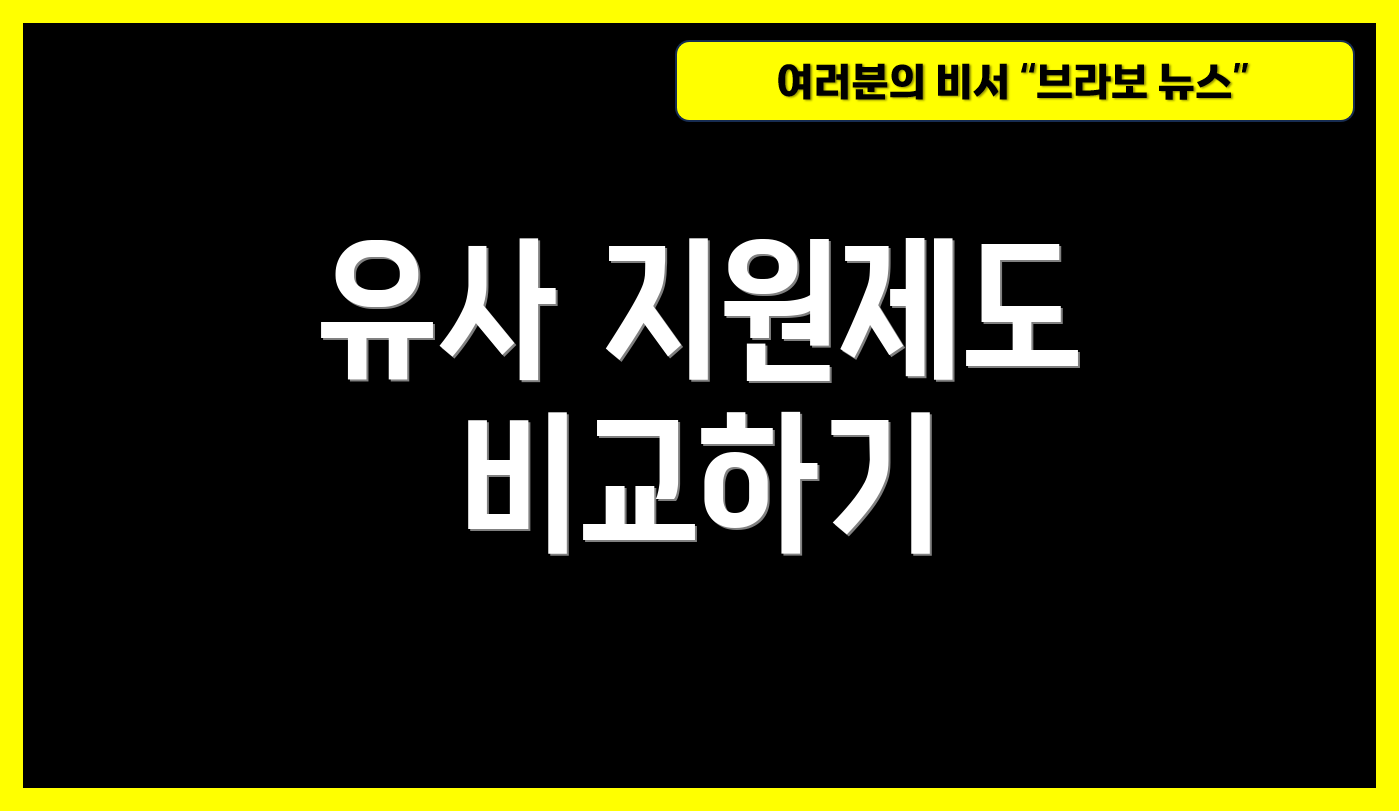 유사 지원제도 비교하기
