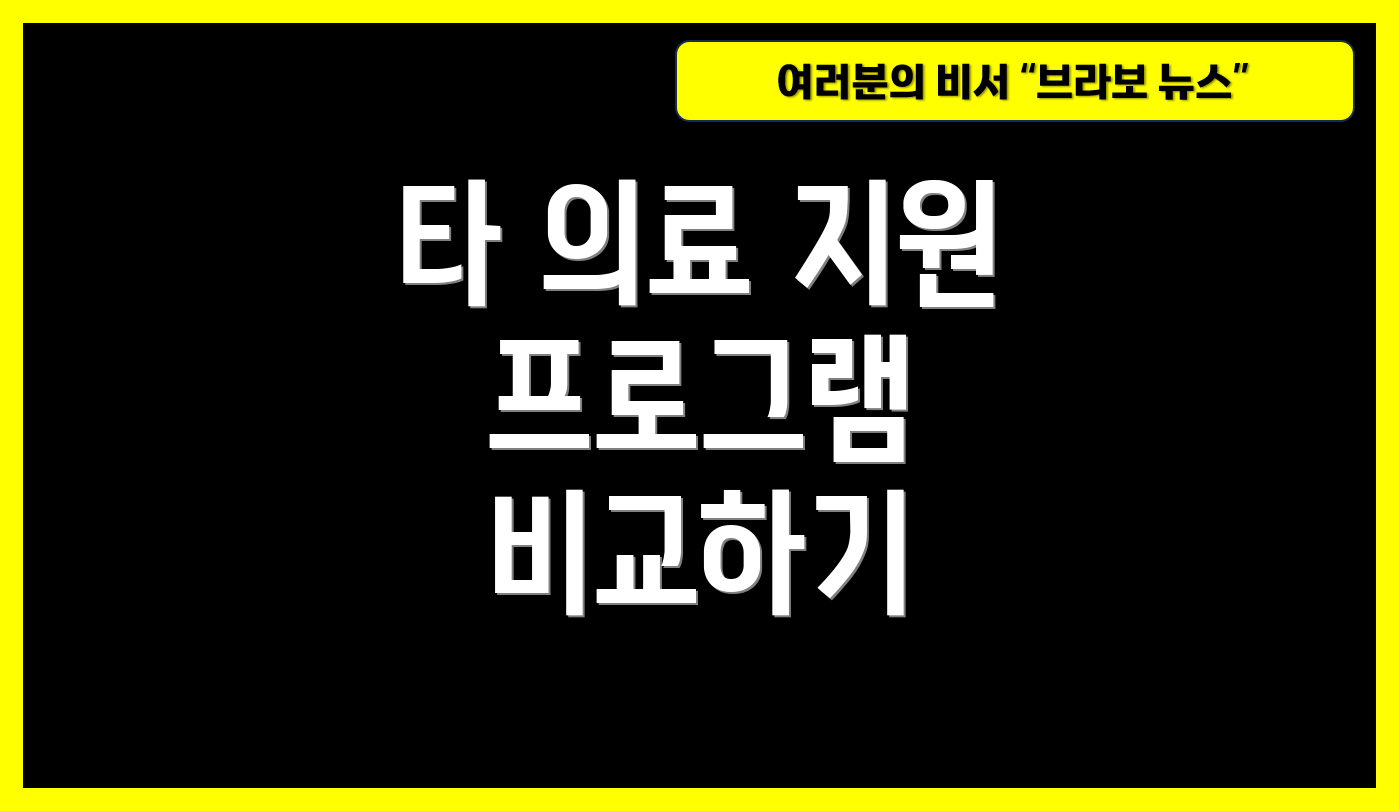 타 의료 지원 프로그램 비교하기
